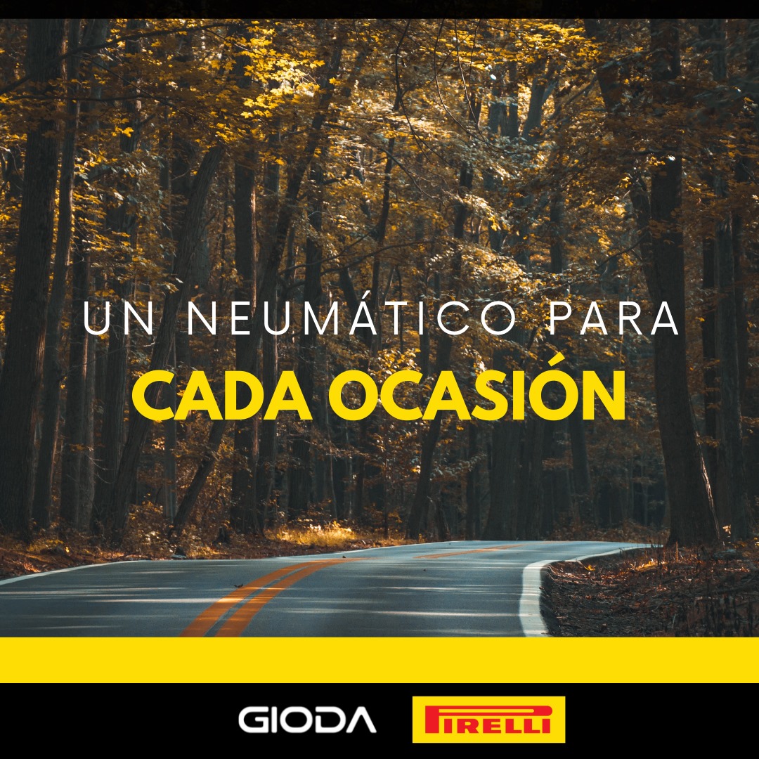 🛠 GIODA Distribuidor oficial Pirelli 🛠... - Gioda Neumáticos | Facebook