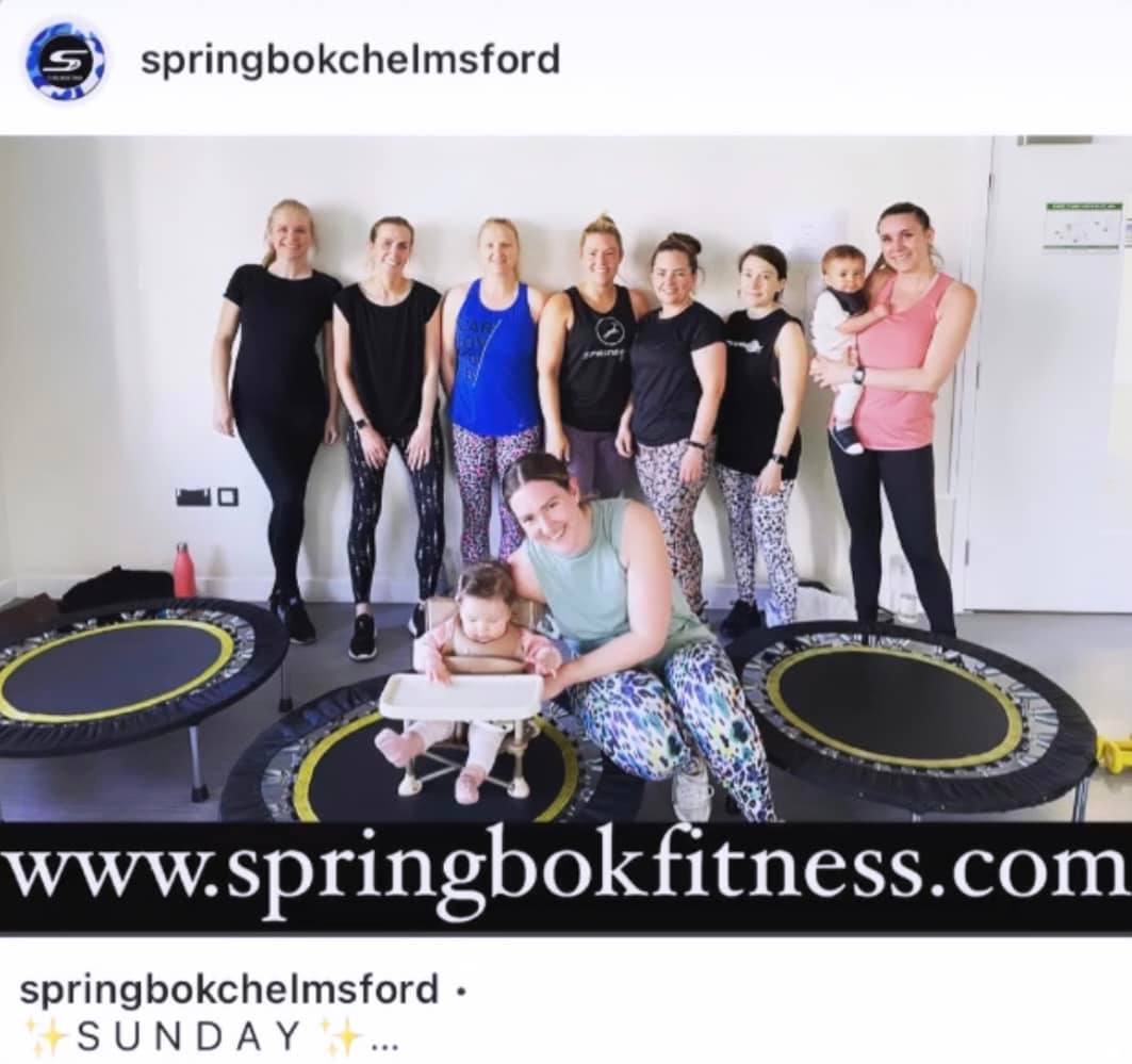 Springbok Fitness | Harlow
