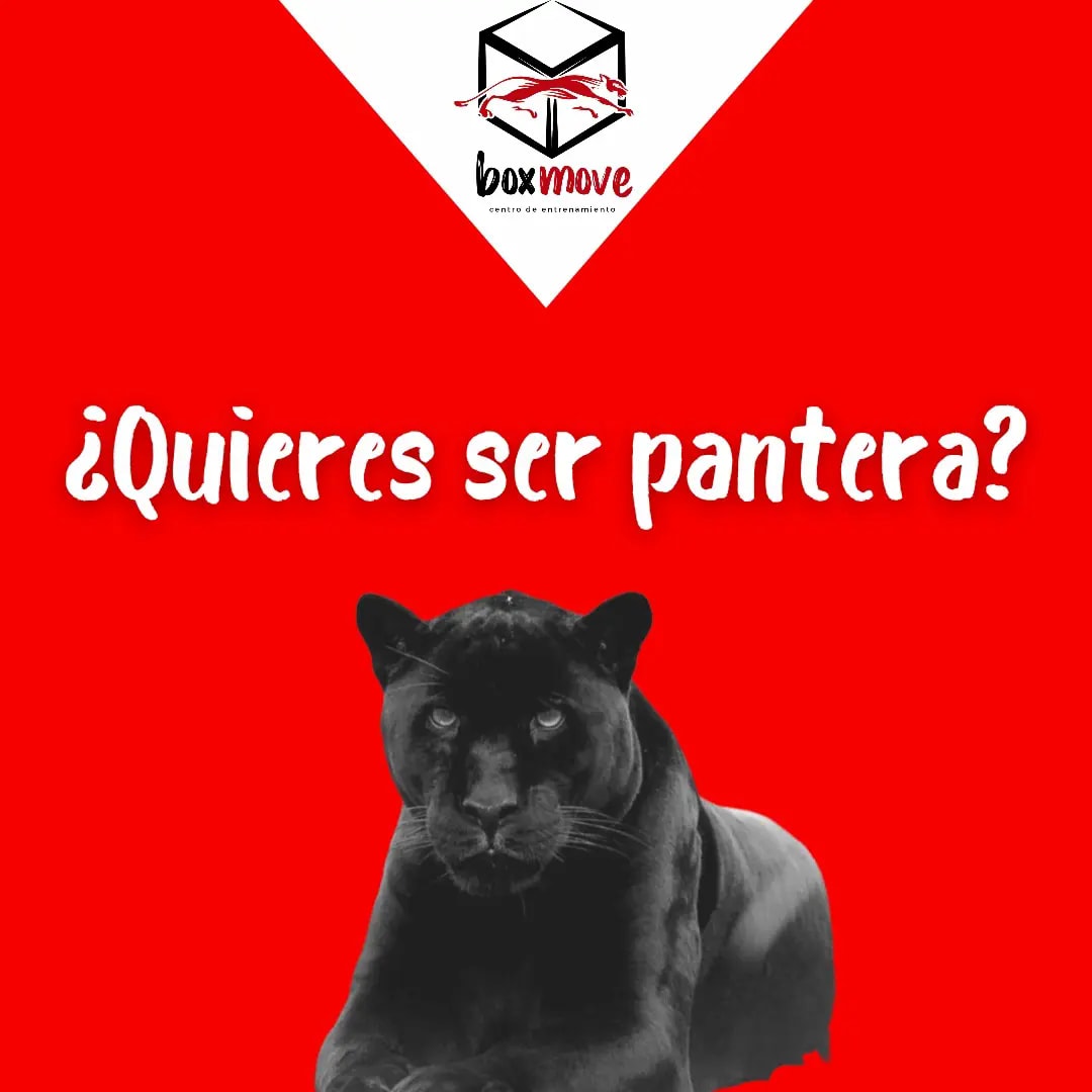 Box Move - ¿QUIERES SER PANTERA? 🐈‍⬛ PANTERA, GLOBAL,...