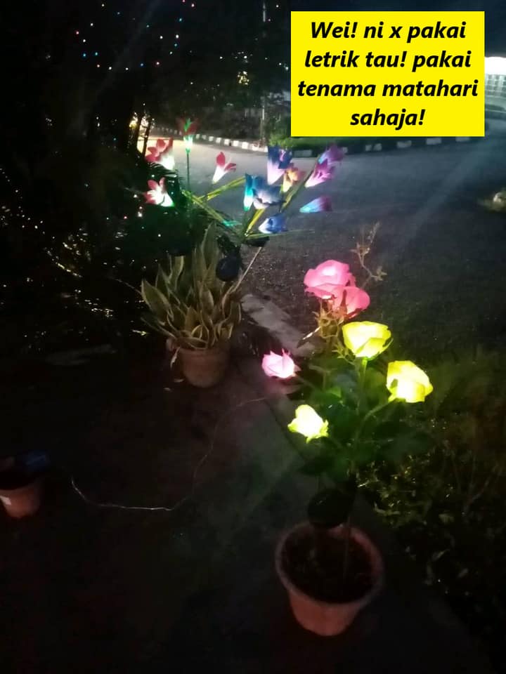 Resepi Bujang - Korang nak tau tak kalau pakai bunga solar...