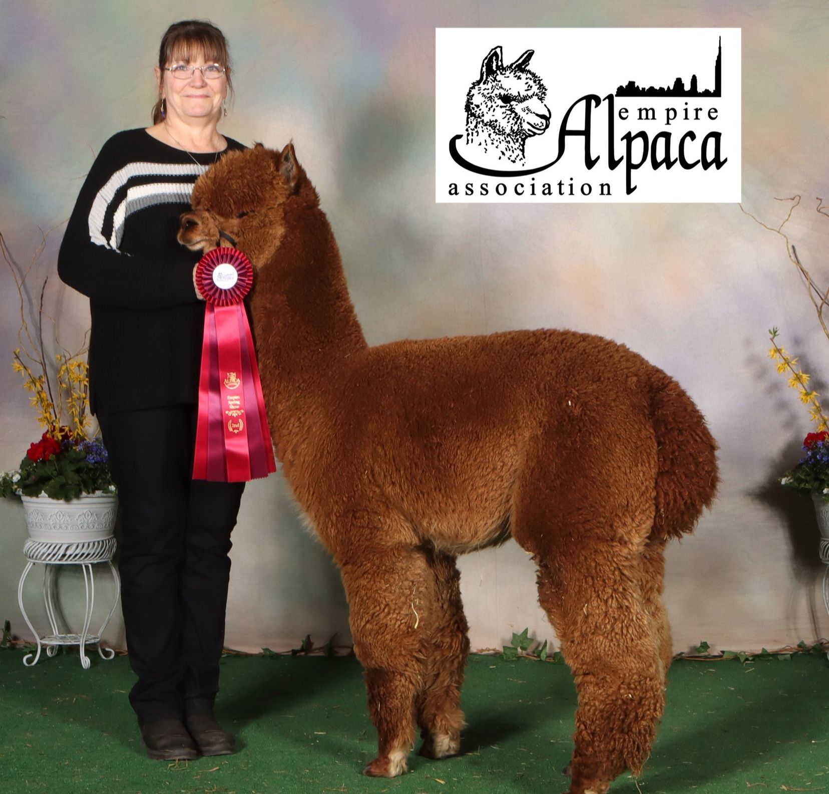 Alpaca & Llama Transport | Facebook