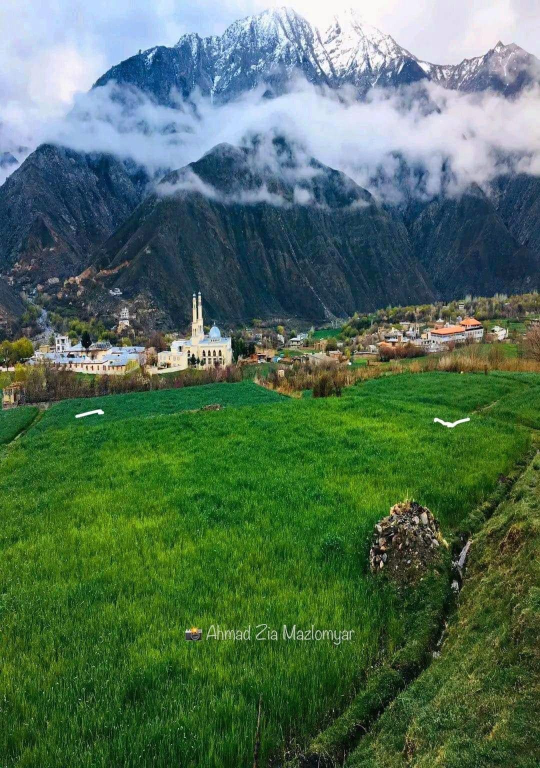 دوستداران - هیچ دلت میشه بدون لایک و کامنت از سر عکس قهرمانت تیر شوی ...