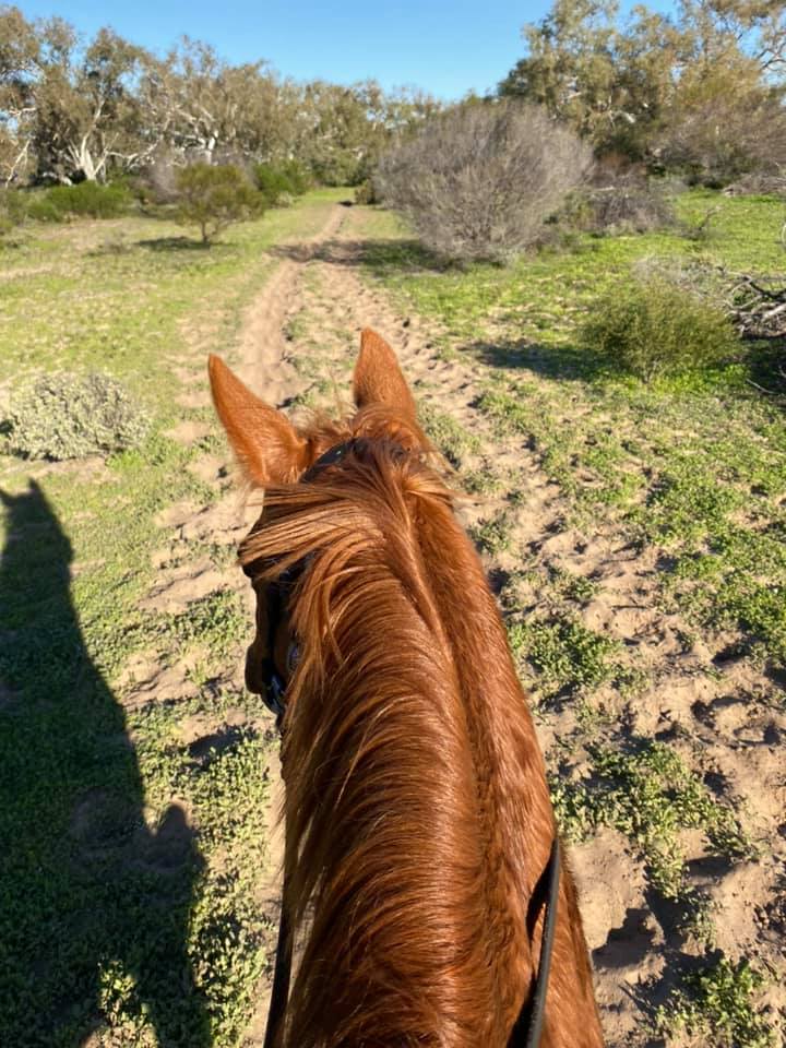 Our newest boy at the ranch...... - Big River Ranch, Kalbarri | Facebook