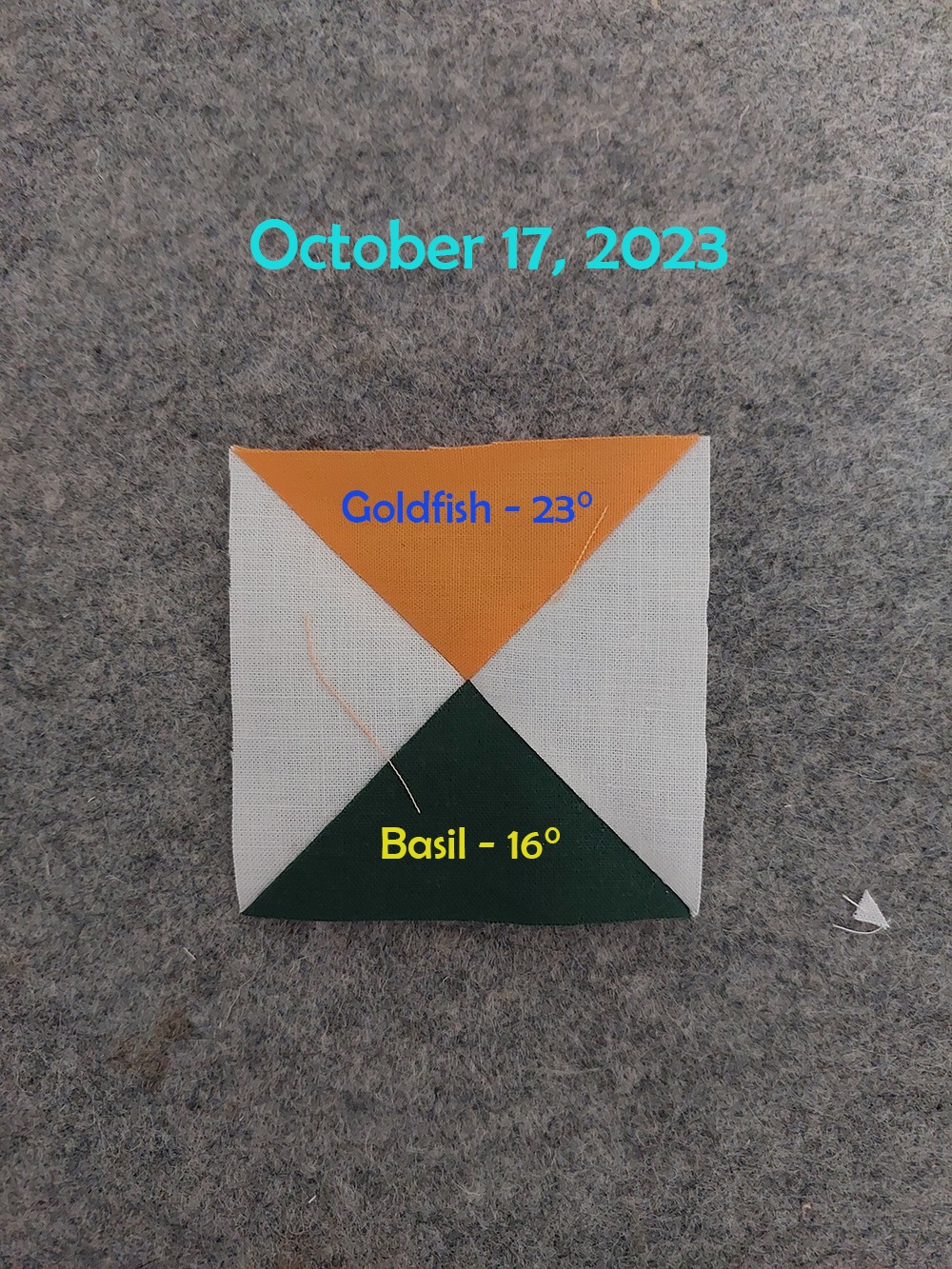 Quilt Israel