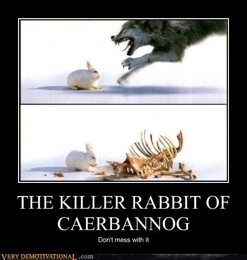 Killer Bunny Memes Rabbit Memes & GIFs Imgflip