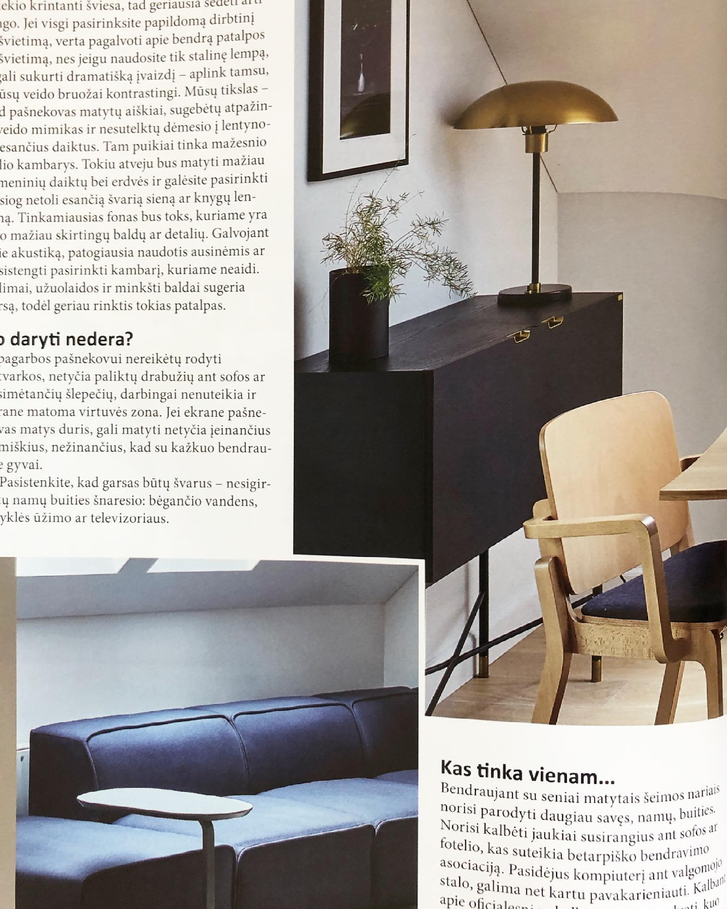 Eglė Skuodaitė. Interior Design | Vilnius