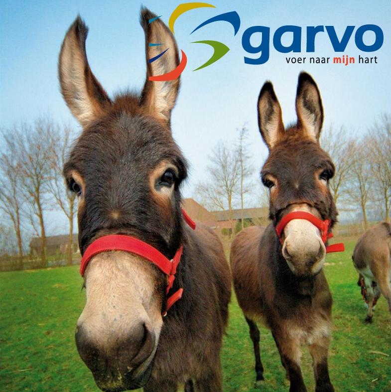 Garvo 
