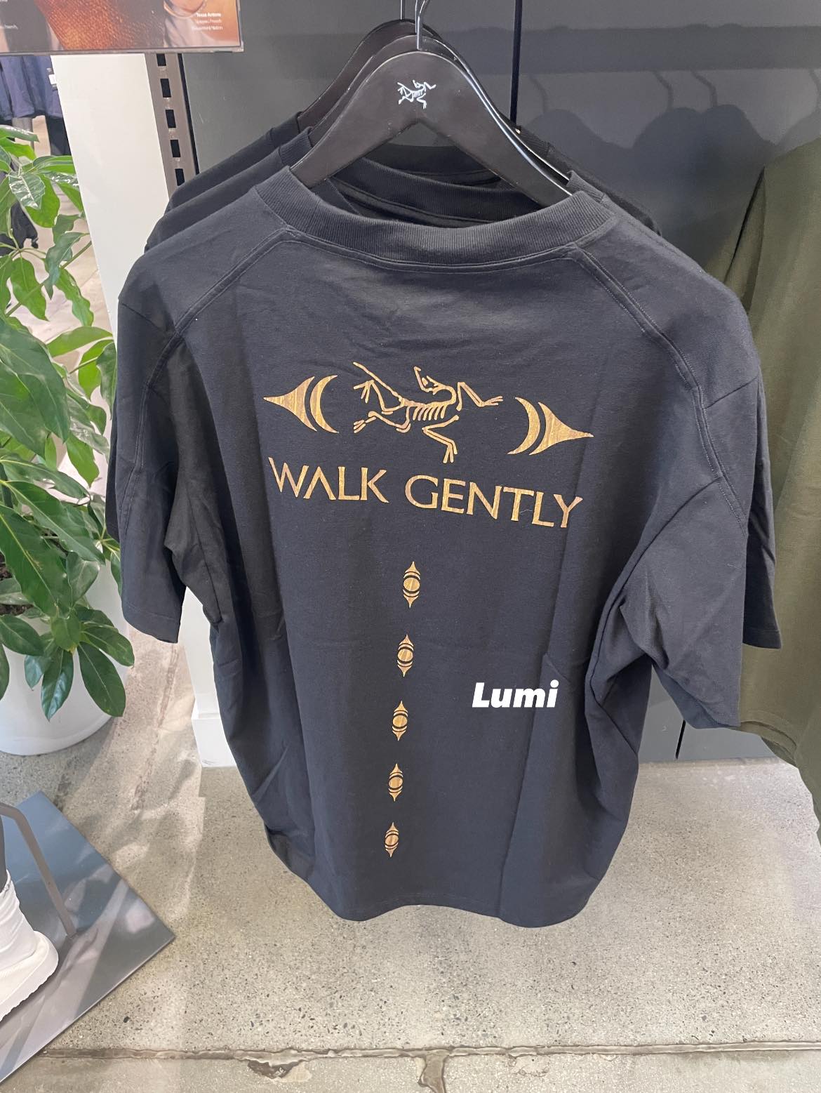 Walk Gently Cotton Cedar Bark SS アークテリクス Arc