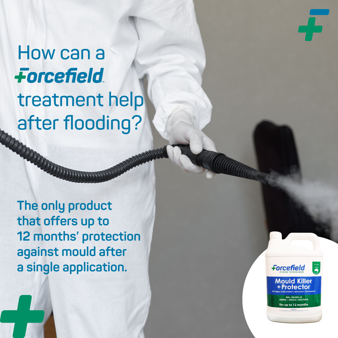 Mould Wizards - As a Service Provider for Forcefield we...