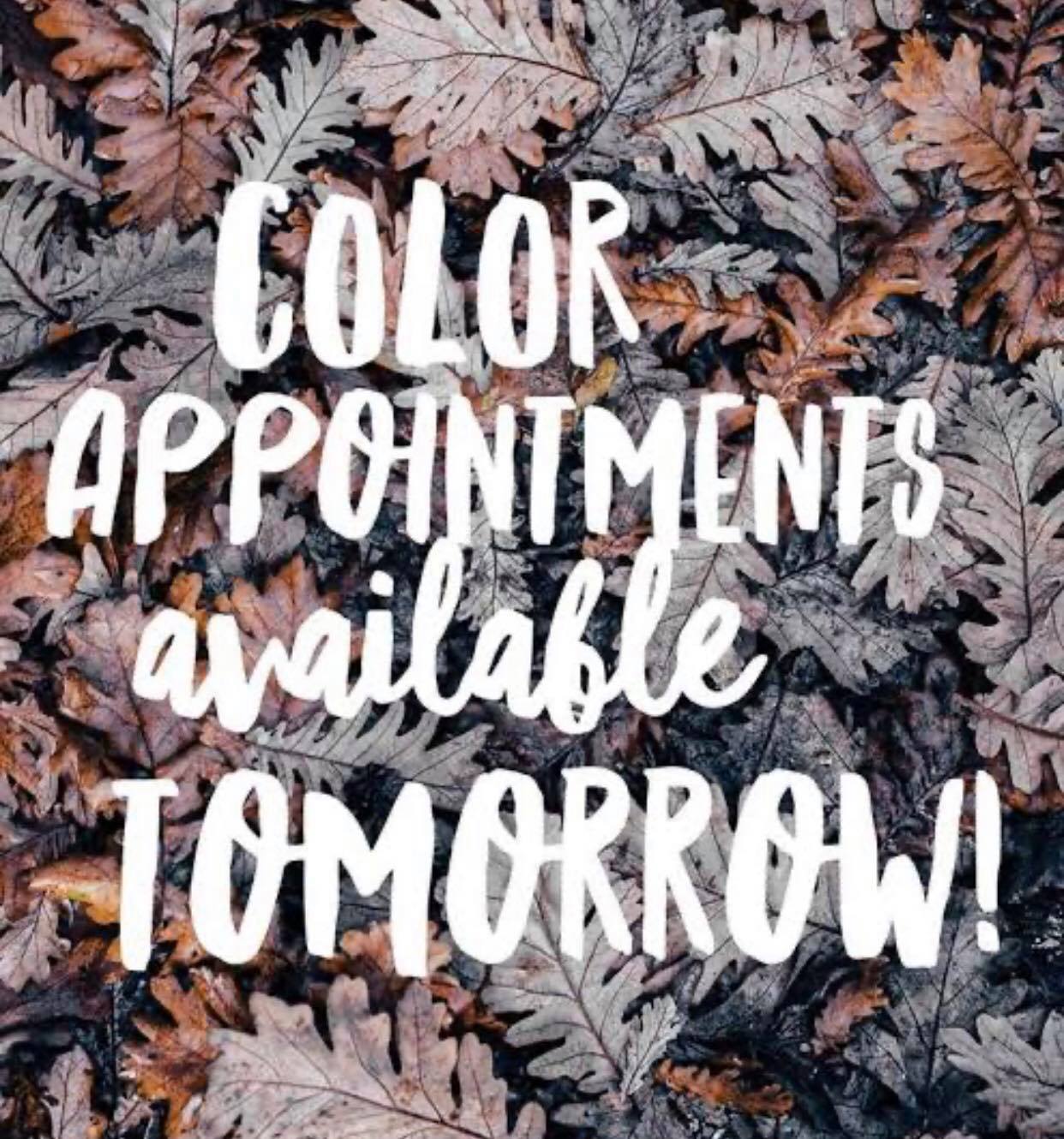 Choo Choo Hair and Beauty wyong Home Facebook