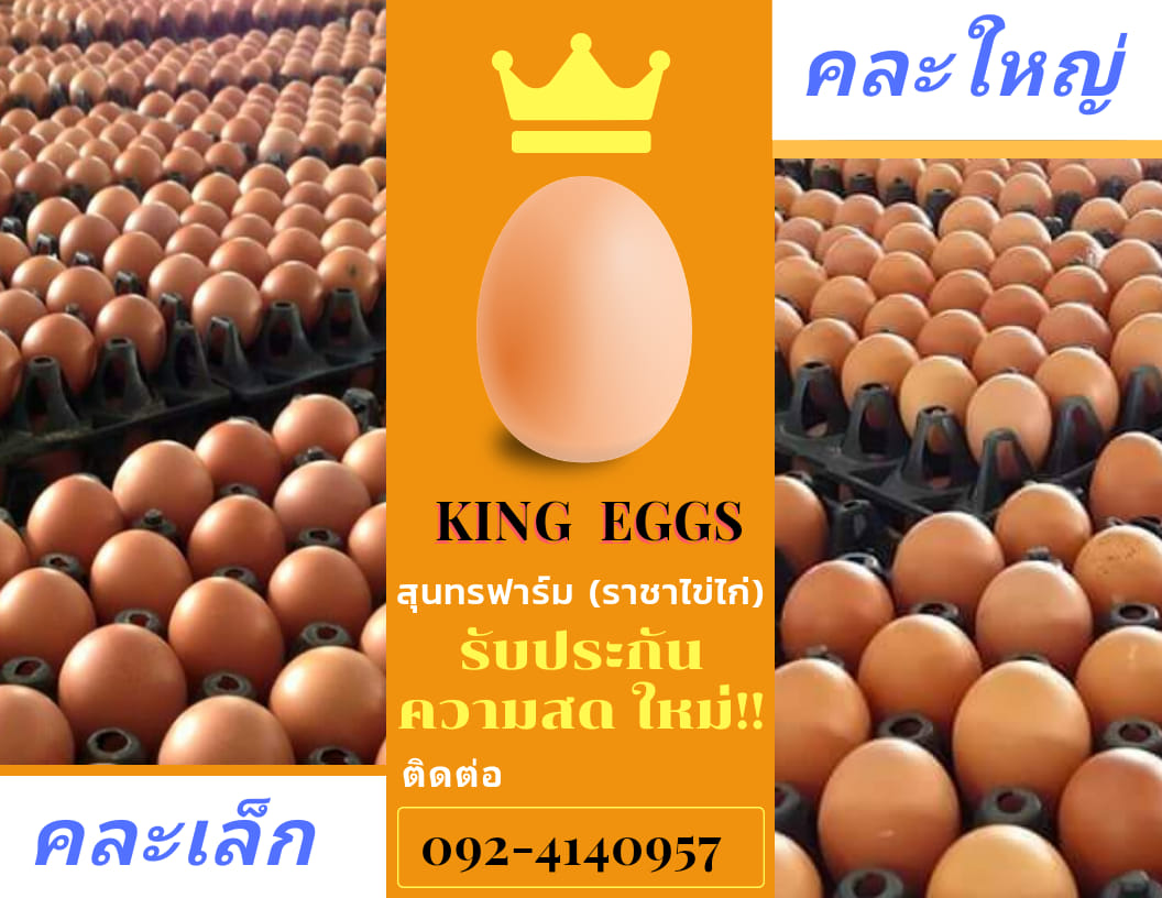 #คละเล็ก #คละใหญ่... - คิงส์ เอ้กส์ - ราชาไข่ไก่ - King Eggs