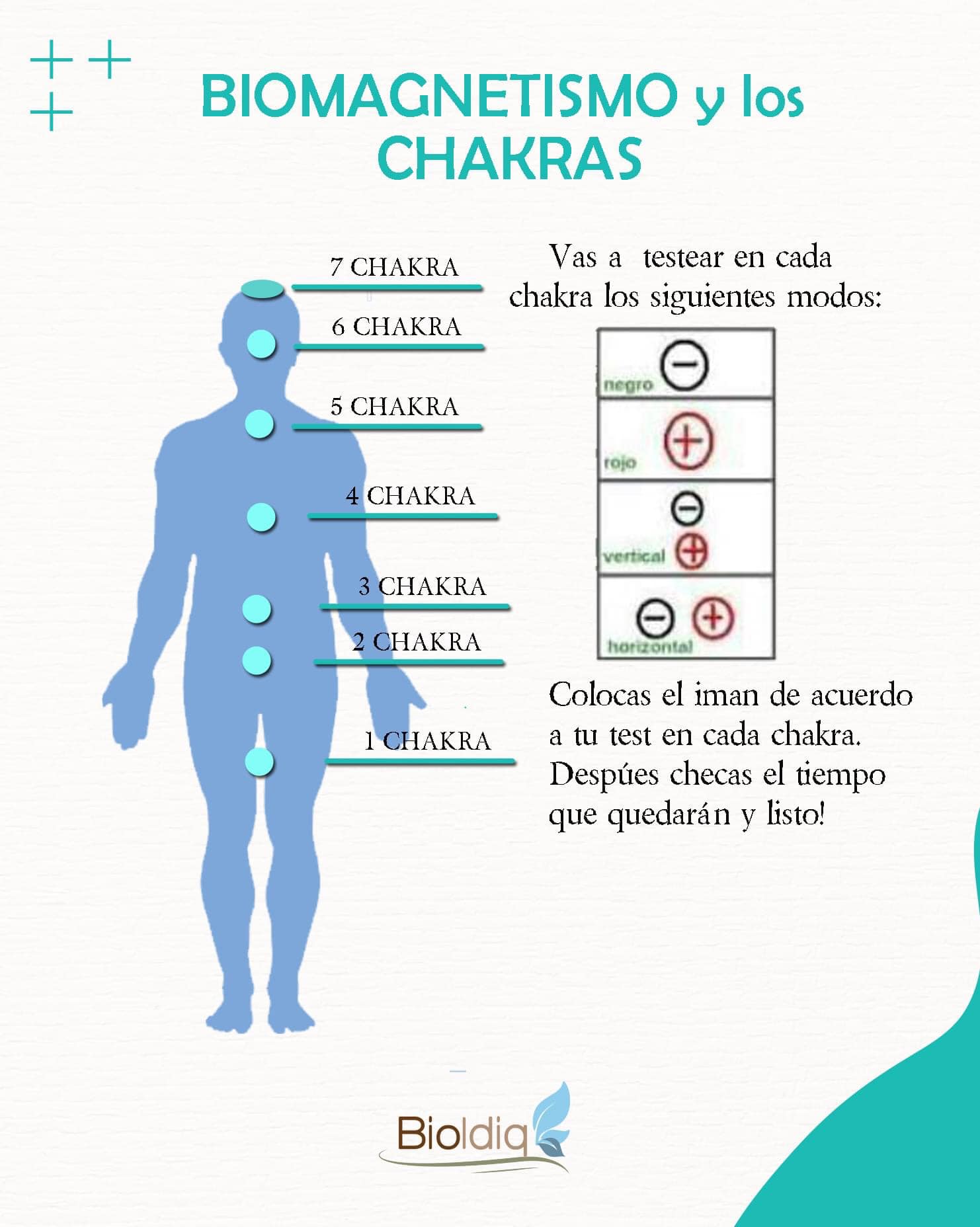 Bioldiq - El Biomagnetismo puede ser una excelente...