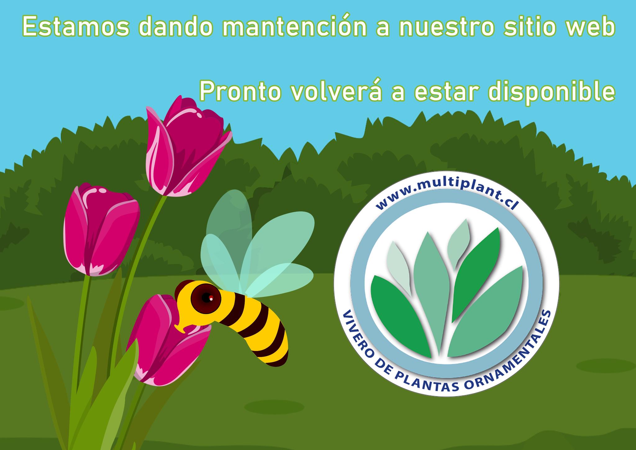 Trabajamos para mejorar la usabilidad... - Vivero Multiplant | Facebook