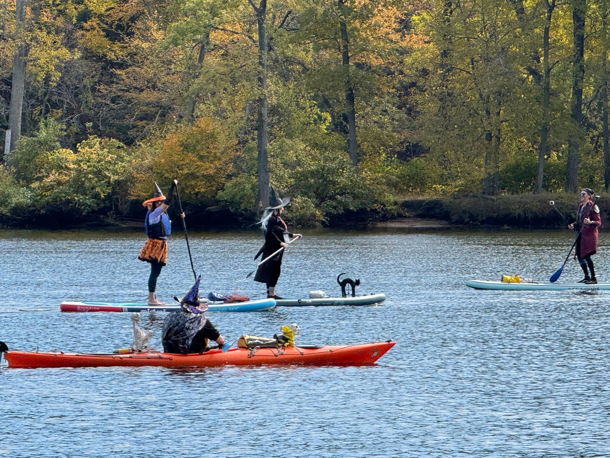 Scoot & Paddle | Milford CT
