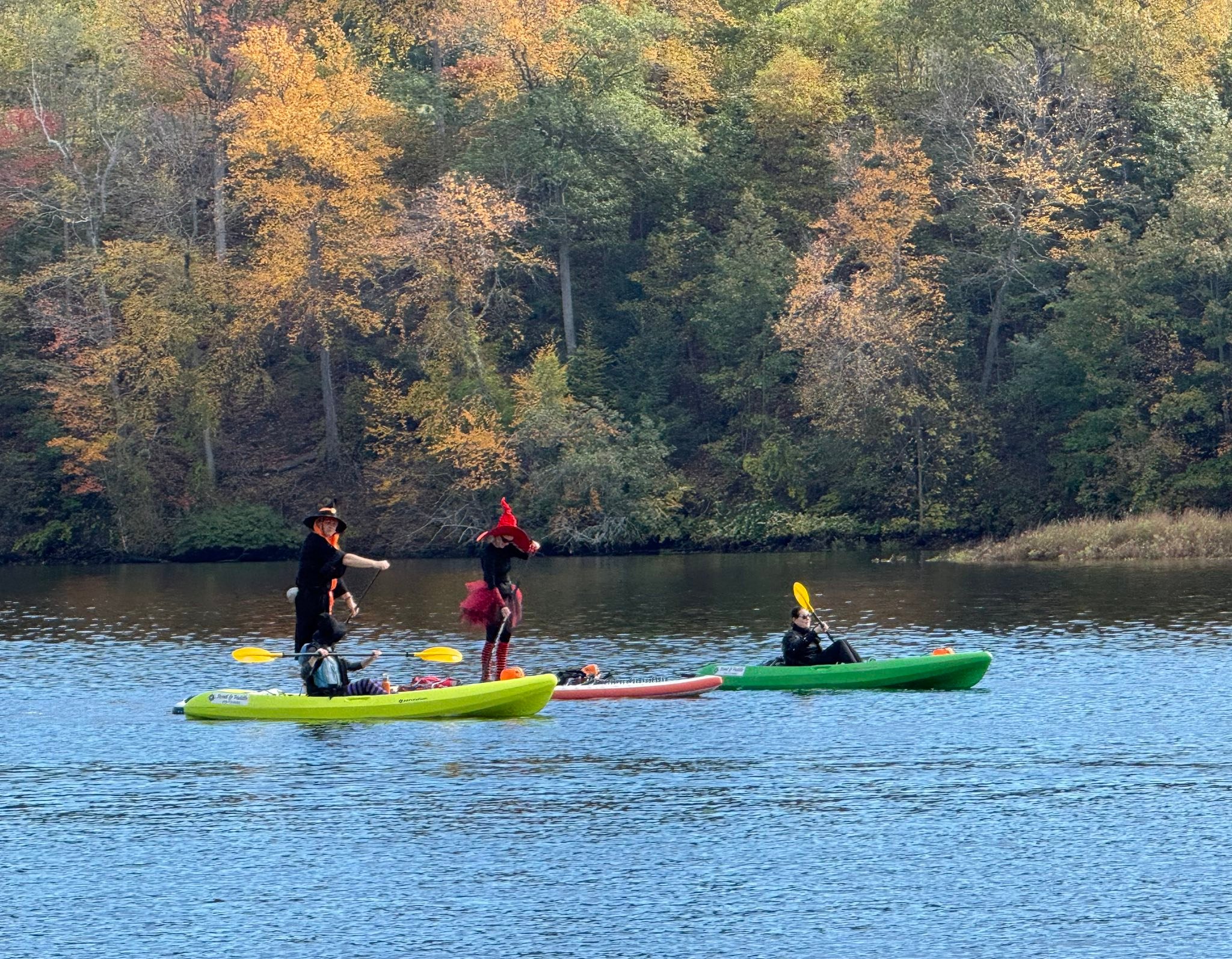 Scoot & Paddle | Milford CT