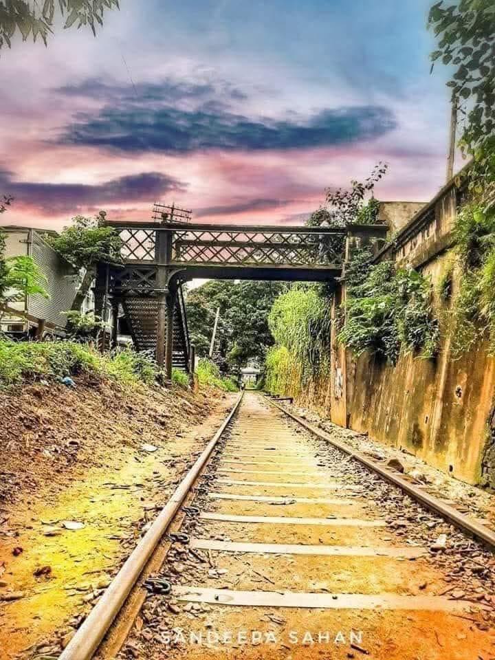 API NUWARA (අපි නුවර) | නුවර ඇවිත් මෙතනින් එහේ මෙහෙ ගියපු අයත් ඇති තරම් ...