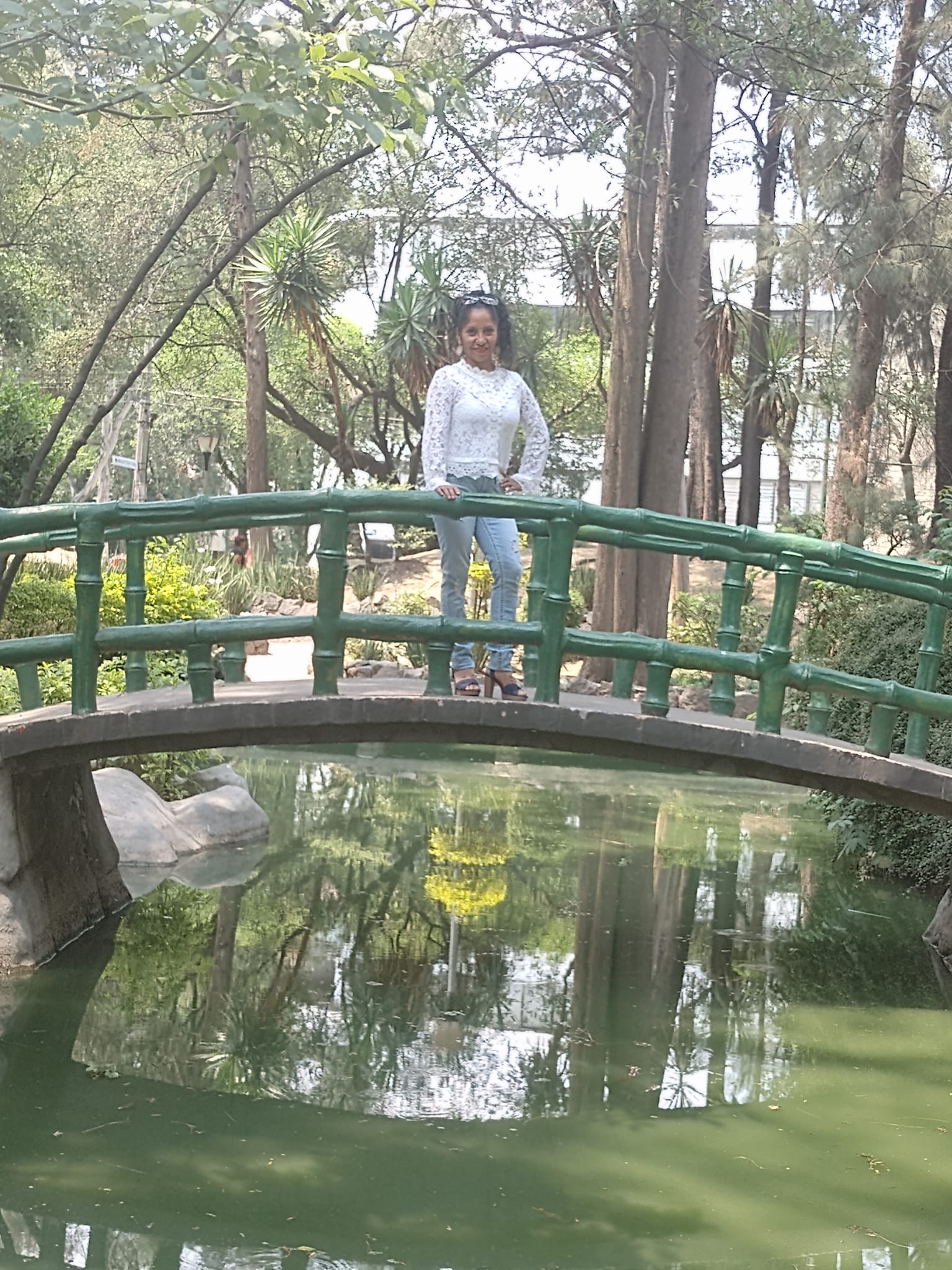 Norma Angelica Rocha Renteria