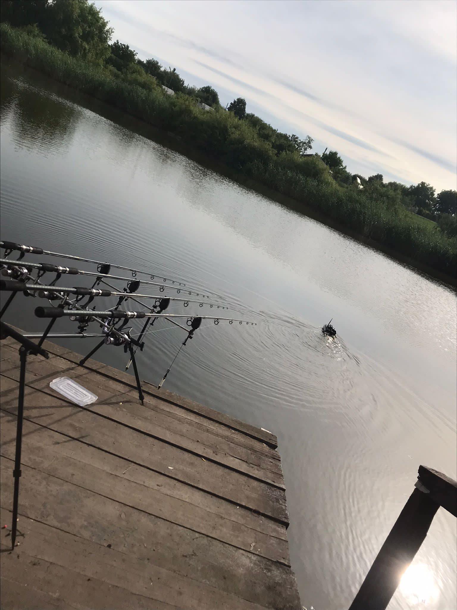 Multumesc frumos baietilor de la Animalsbaits! | Bitina | Facebook