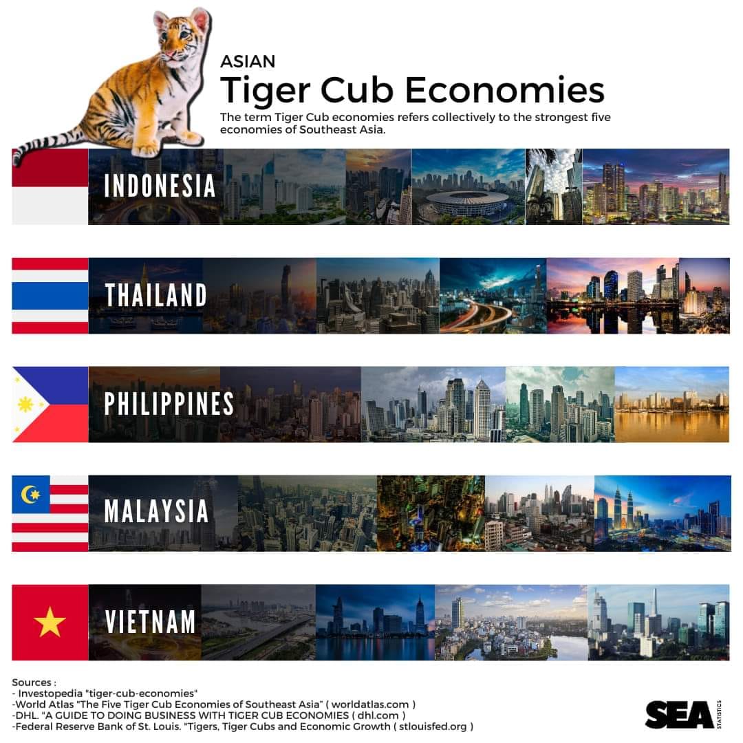 ASEAN - What Are Tiger Cub Economies? The term Tiger Cub economies ...