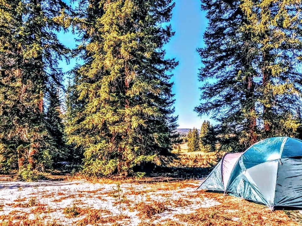 Colorado sure knows how to stretch a... - Explore Colorado | Facebook