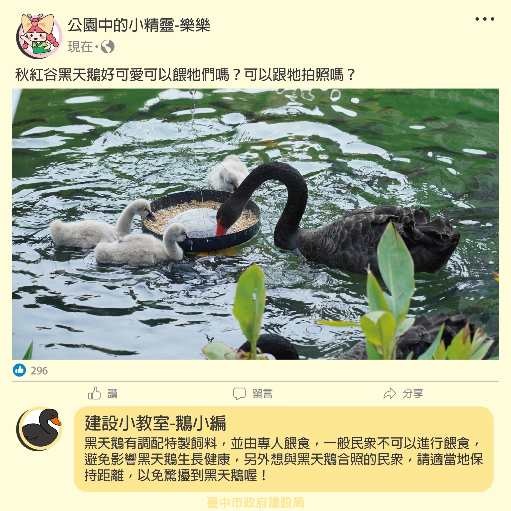 建設大台中 - #建設小教室👨🏫 近期 #秋紅谷生態公園 黑天鵝群受到大家熱烈關注🦢 特別是萌鵝的餵食問題，來來來，#編編 奉上答案～ 大家 ...