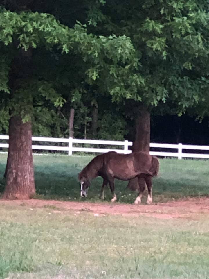 The Stables at Riesen Ranch | Senoia GA