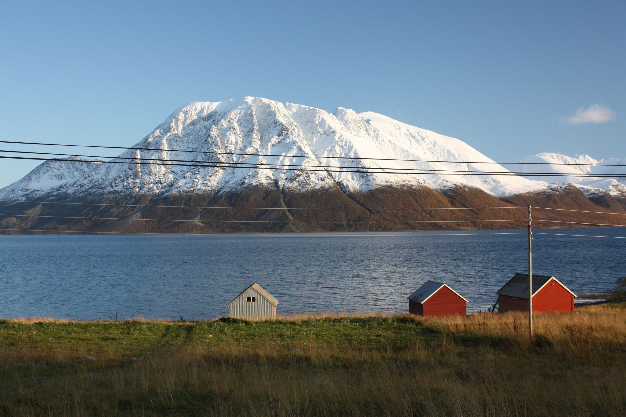 Tor K. Mathiassen
