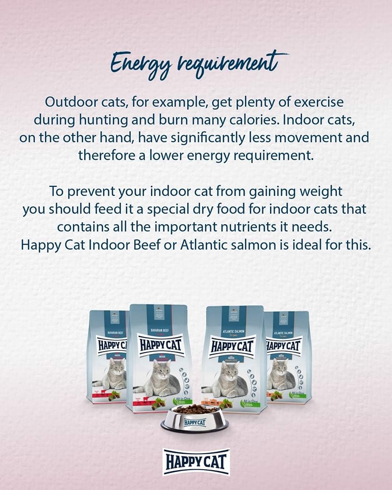 Make a right choice for your cats... - Critters Haven MY | Facebook