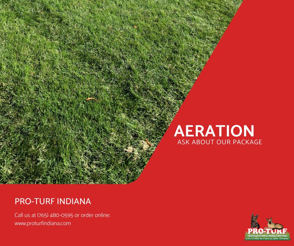 Pro-Turf - Aeration removes cores of soil from turf to...