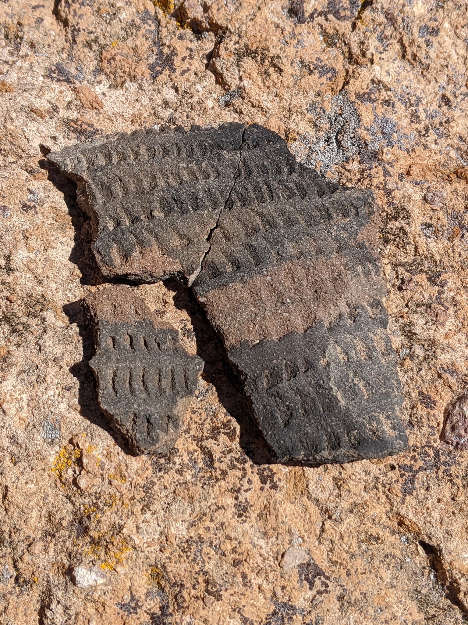 Native American artifacts found in the Great Basin Desert display picture 1