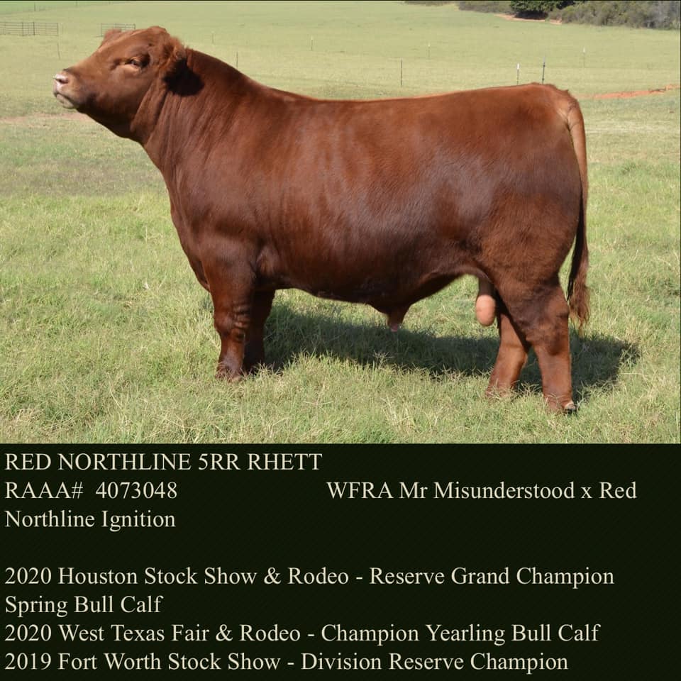 Cinco R Ranch, LLC | Seymour TX