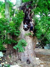 روّاد الطبيعة_نباتات _ Nature Pioneers