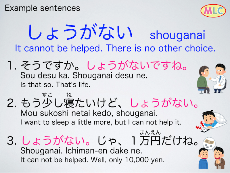 Japanese Language Mlc しょうがない Facebook