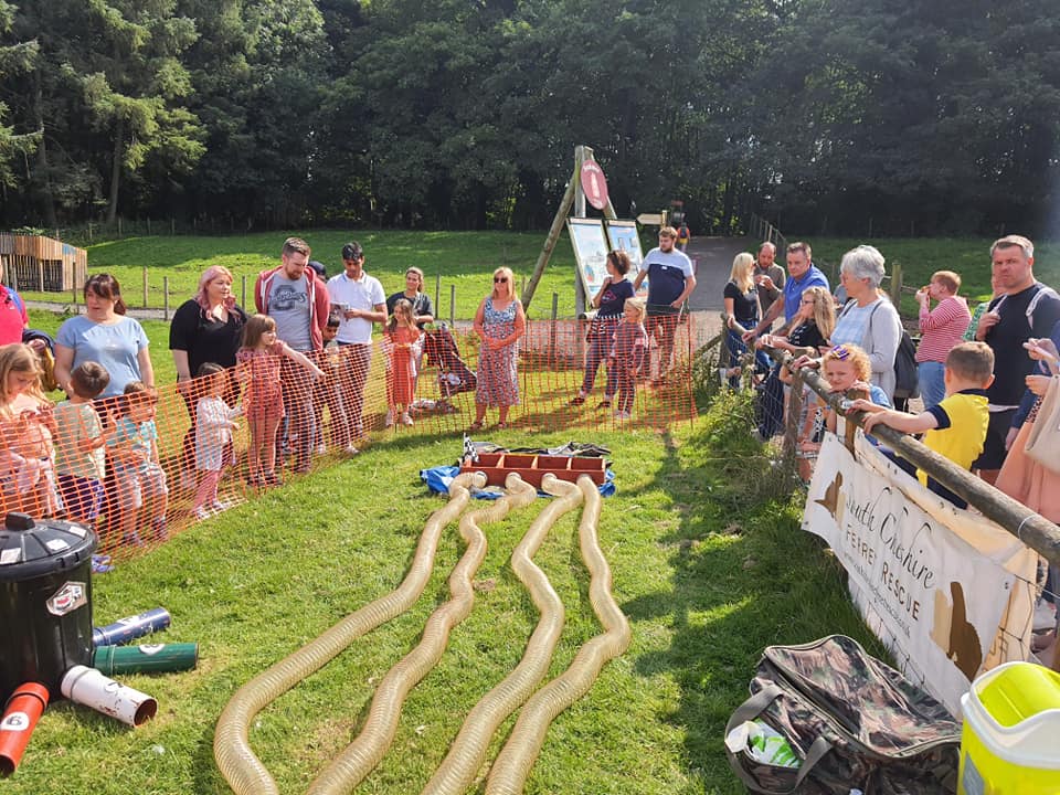 Fuzz Fest Ferret Racing Team | Runcorn