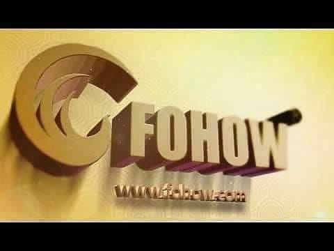 Корпорация фохоу. Эмблема Фохоу. Корпорация "Феникс". Корпорация эмблема Fohow
