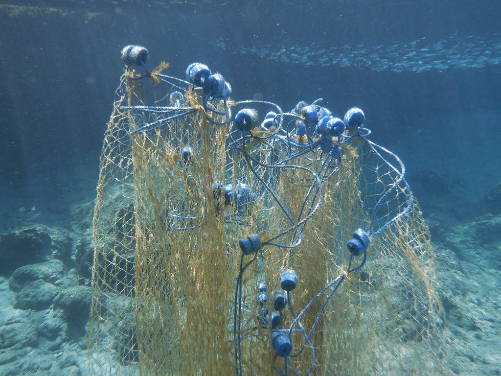 Sea Turtle Conservation Curacao - Did you know ghost gear is a big ...