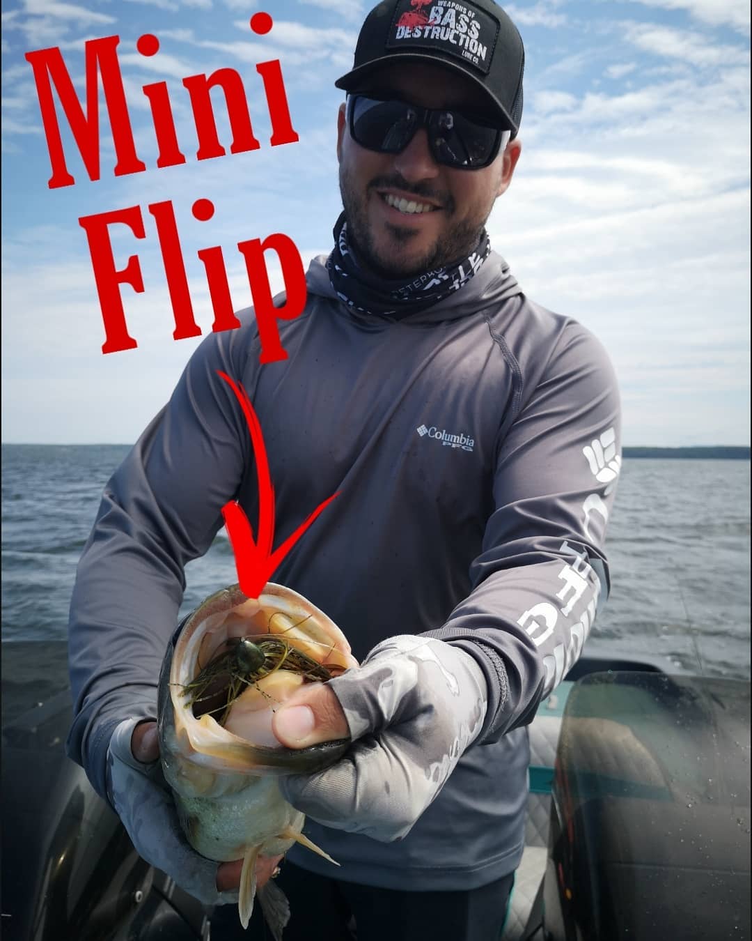 Weapons Of Bass Destruction Lure Co. - 