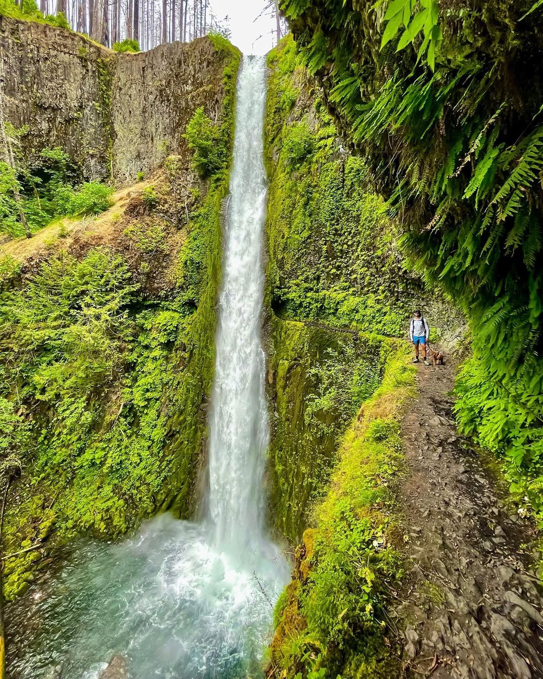 Tunnel Falls In Oregon, USA - Incredibly Beautiful Places