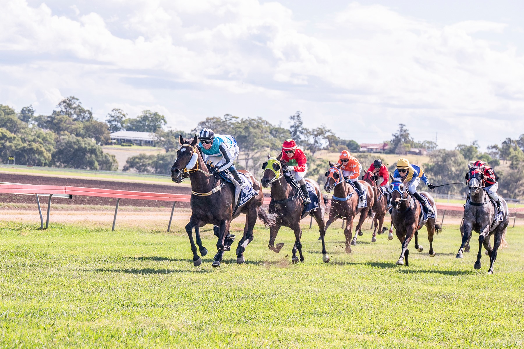 Race 3, MAGIC MILLIONS QTIS... - Warwick Turf Club Inc | Facebook