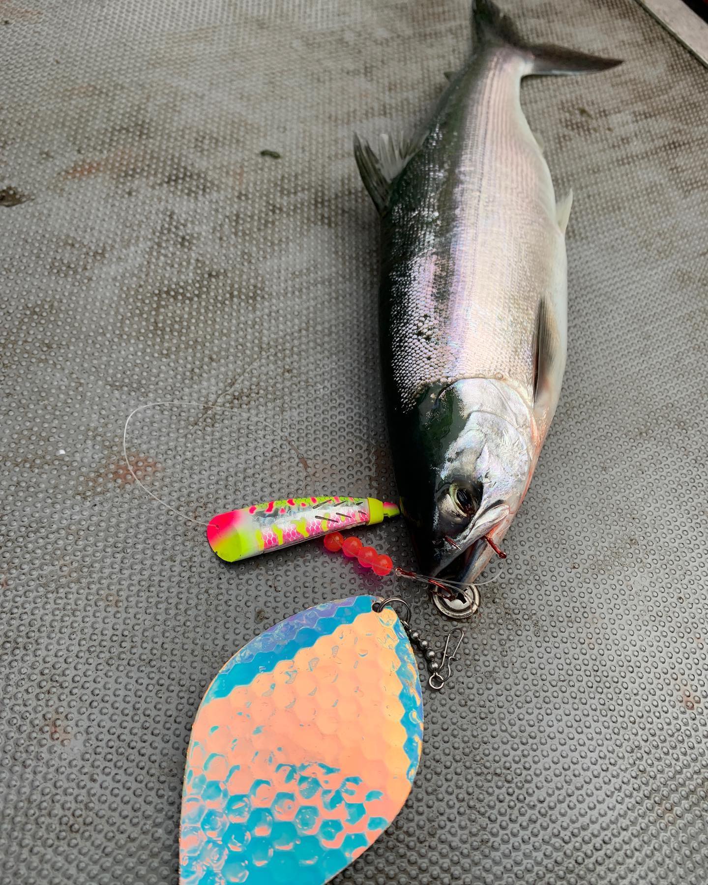 hooked on you since tackle box Personalization Universe Dad Personalized Plano : Sports & Outdoors WEIGHT_specs002:380g Color:Super Glow Electric Grunion a fillet knife Dredge Outfit - Precision