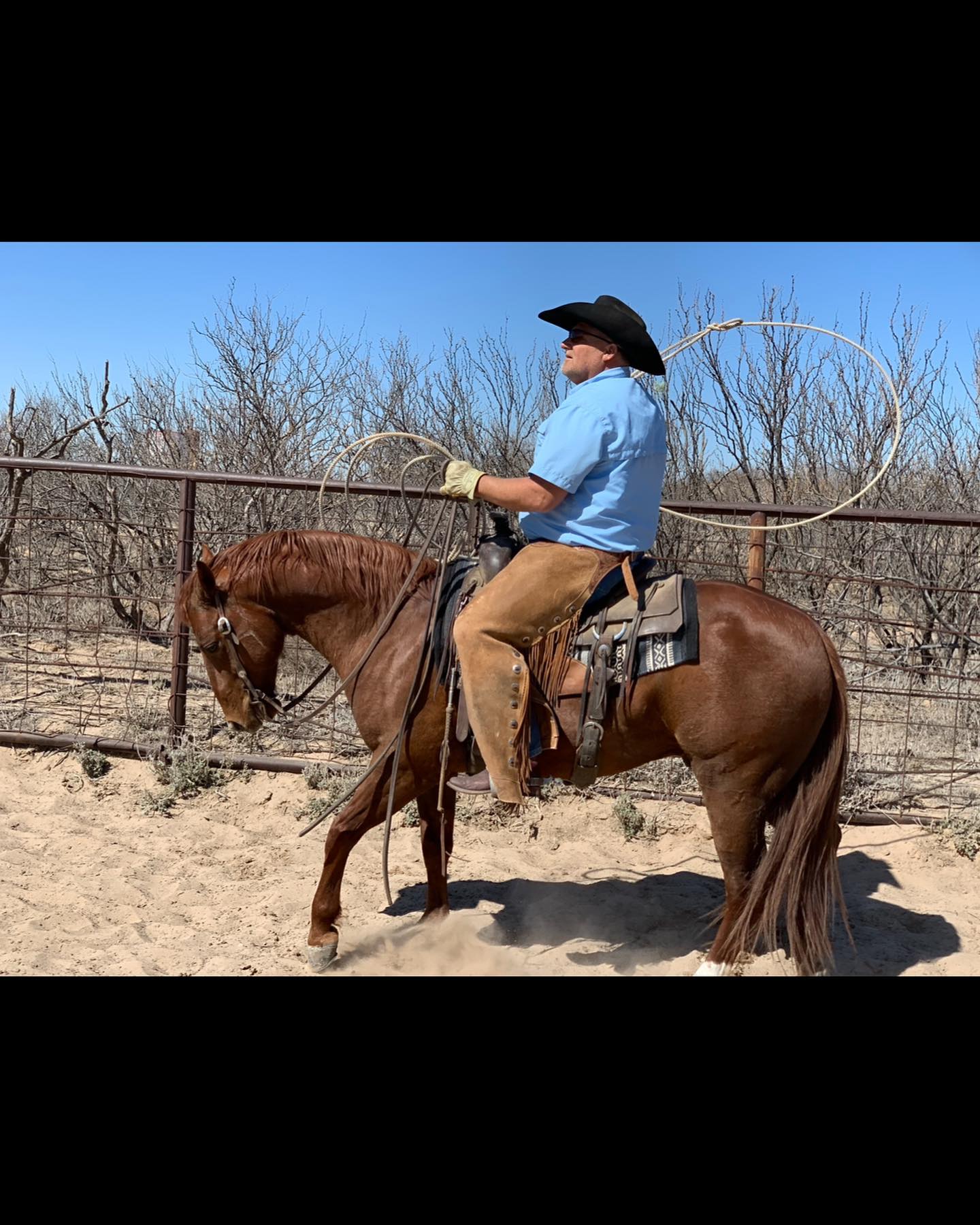 Rolling 7's Ranch