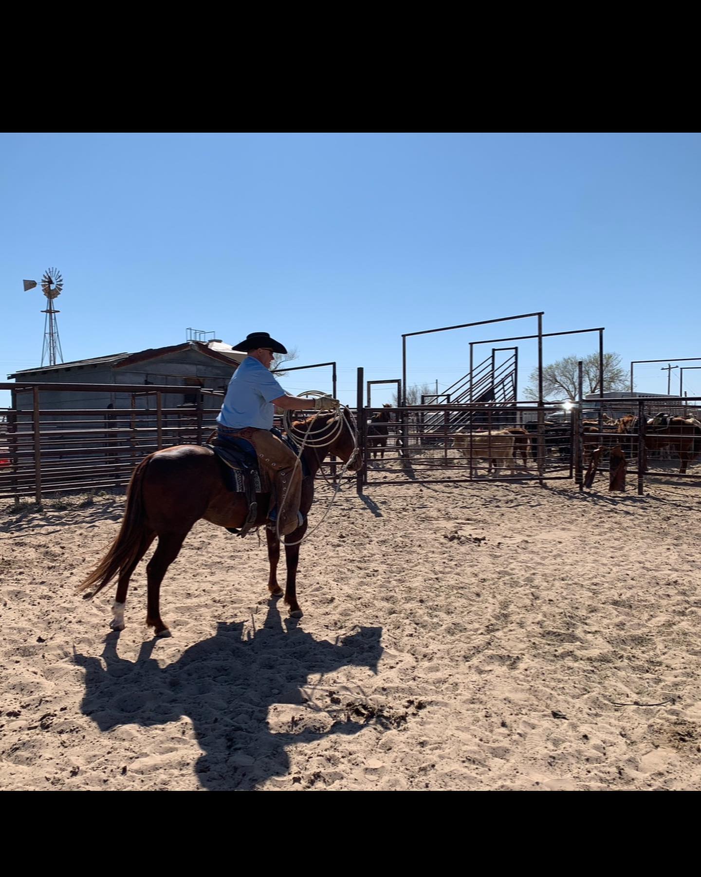 Rolling 7's Ranch