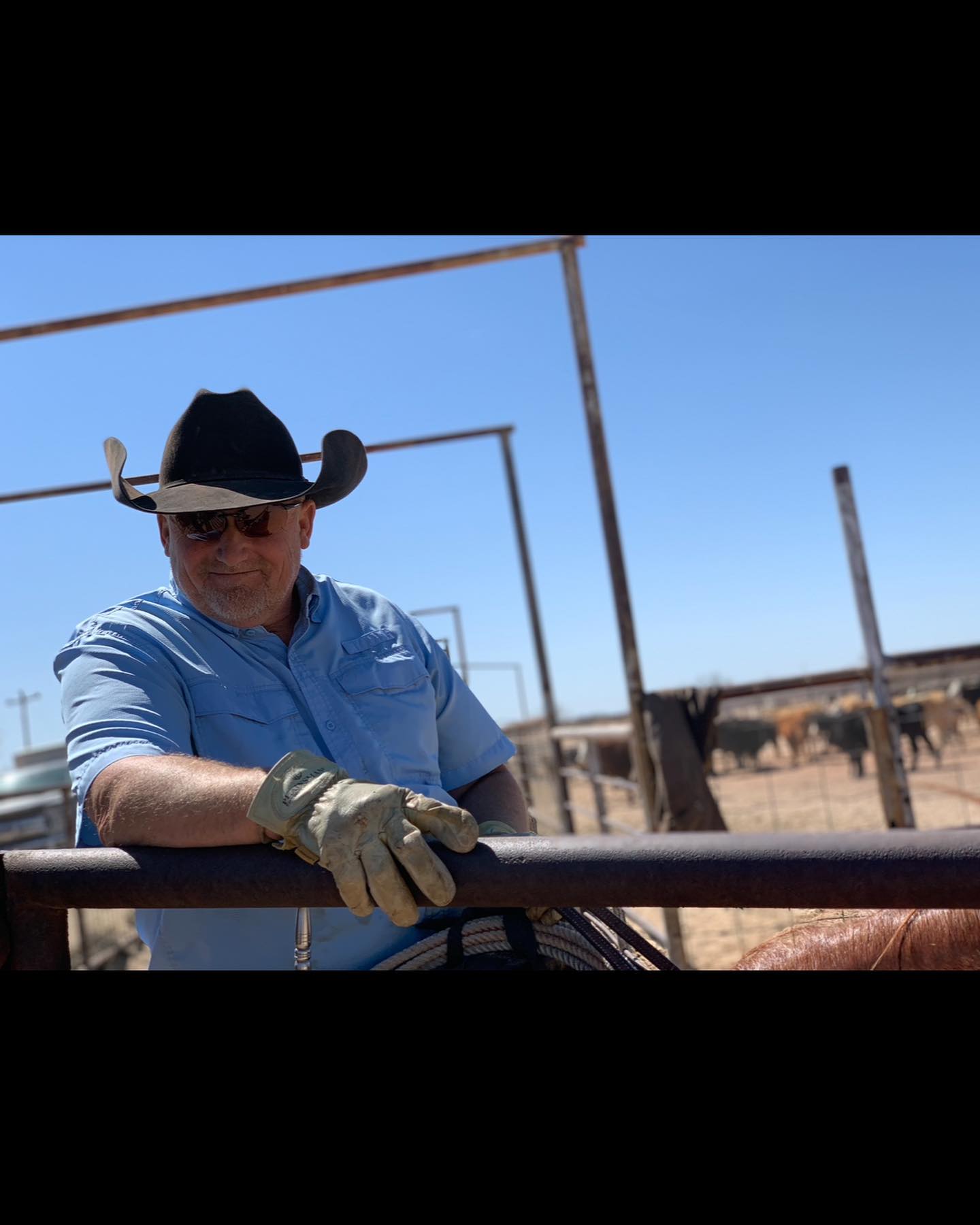 Rolling 7's Ranch