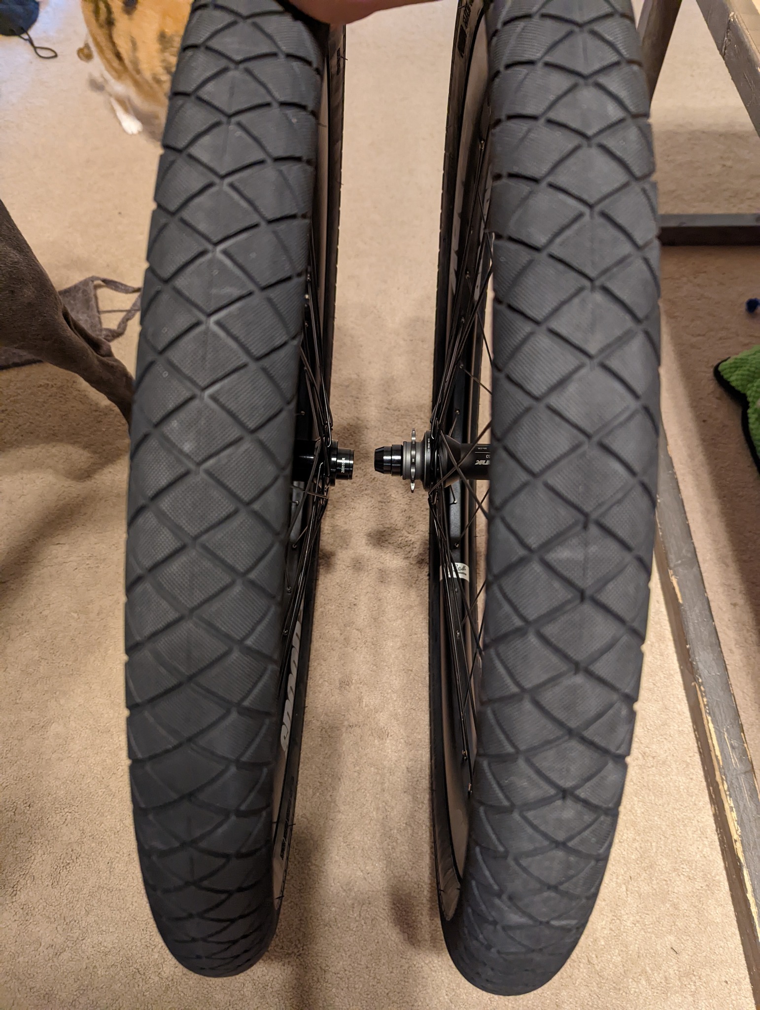 BMX PRIMO WALL TIRE 2.35 Anyone remember these who use to BMX 
