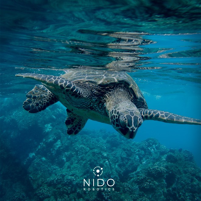 Nido Robotics LATAM