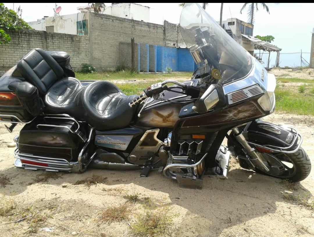Buy HONDA GL1100 GOLDWING 1982 ENGINE COVER GL 1100 jtw in Madison