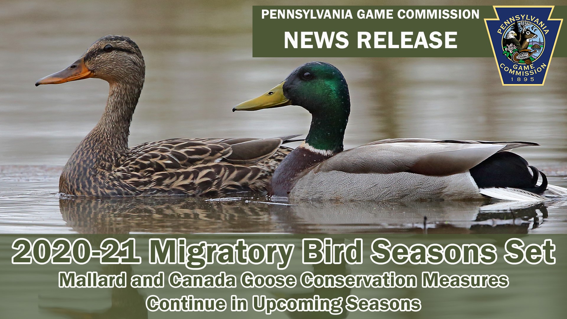 Pennsylvania Game Commission - Pennsylvania’s 2020-21 migratory game ...