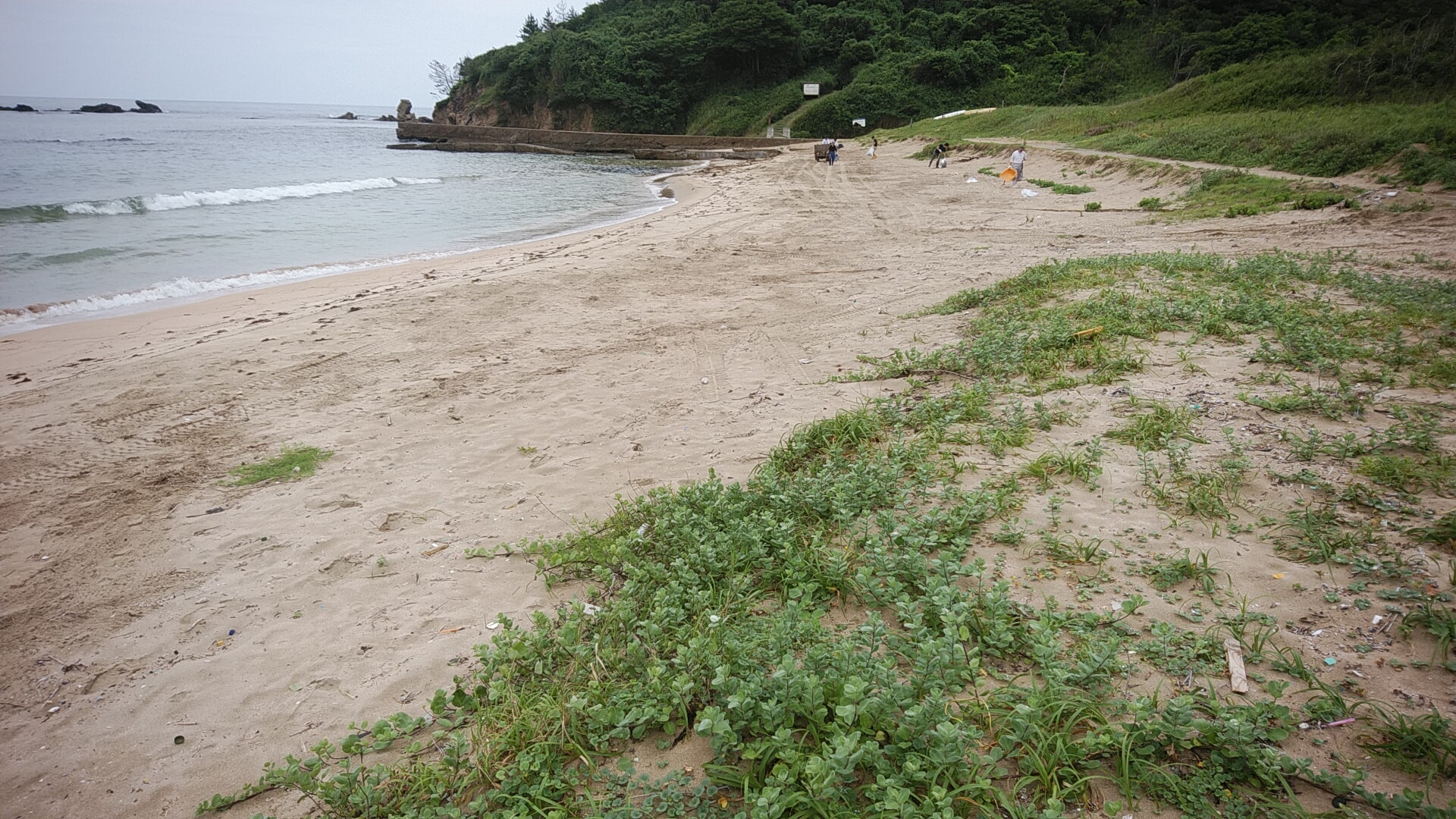 京丹後 網野っていいね 八丁浜小浜海水浴場 より 本日 会員にて 海岸清掃作業を 行いました 雨のため Facebook