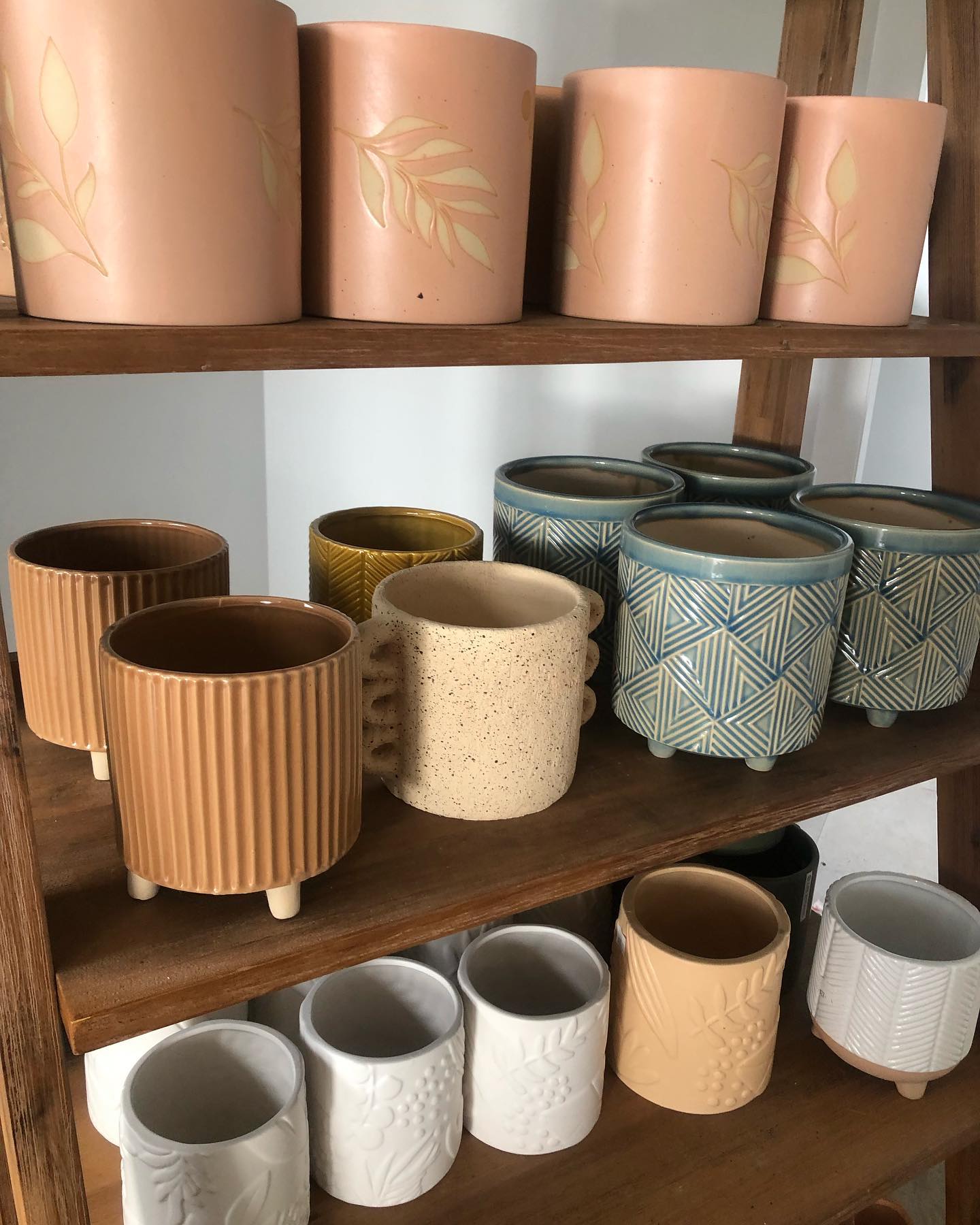 Go pot yourself - Go pot yourself added a new photo.