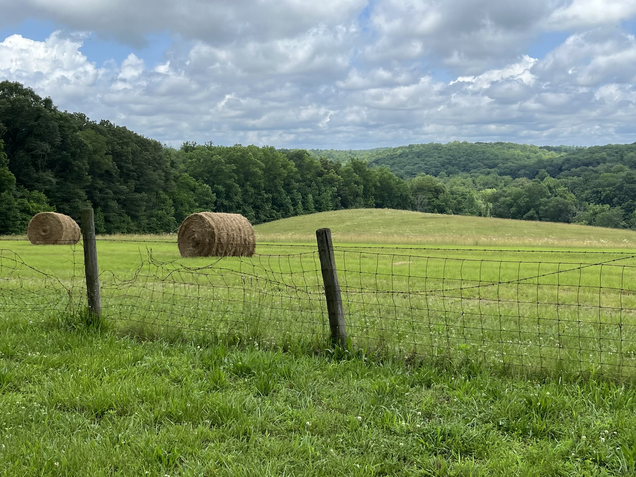 Tennessee land FSBO | I am looking for 20 or more acres for hunting and ...